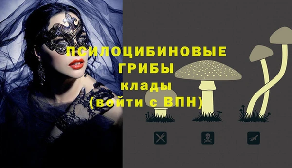 твердый Белокуриха