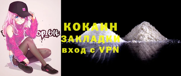 твердый Богородицк