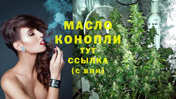 гашик Богданович
