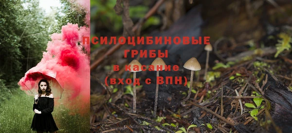 твердый Белокуриха
