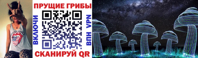 ссылка на мегу ССЫЛКА  Комсомольск  Галлюциногенные грибы Psilocybine cubensis 